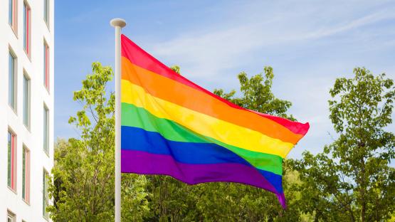 Councils controlled by Reform UK will be banned from flying LGBT Pride flags from their buildings