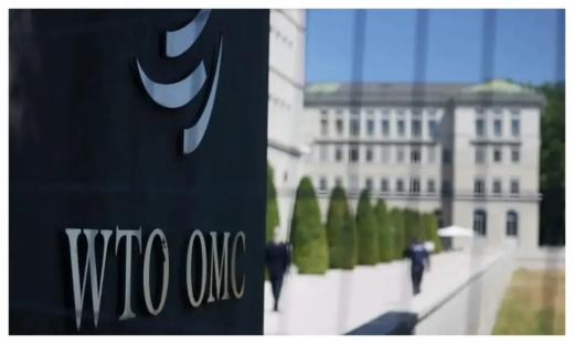 Tariffs: WTO cuts 2025 trade growth forecast, warns of deeper slump