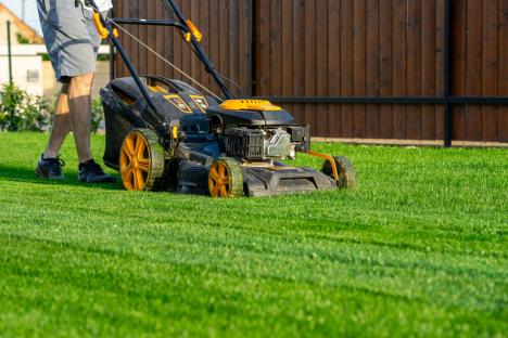 Expert reveals the simple trick to keep your lawn green and healthy – and it won’t cost you a thing