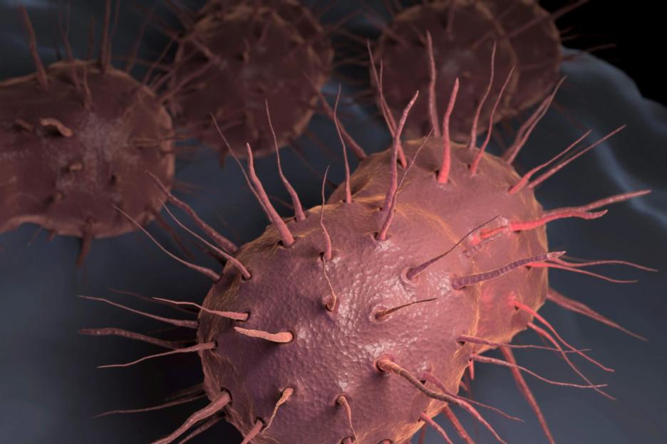 Urgent warning over antibiotic-resistant ‘super’ STI that could soon become ‘untreatable’
