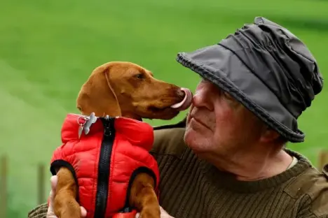 Urgent warning to dog owners who let their pets lick them after woman catches horror parasite