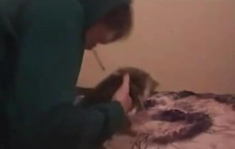 Screenshot from the Netflix documentary *Don't F**k with Cats*, showing a person harming a cat.
