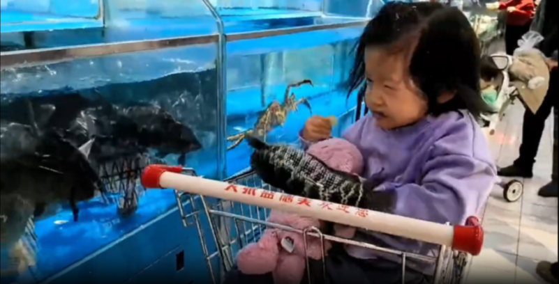 A fish leaps out of a supermarket tank and hits a little girl in the face.