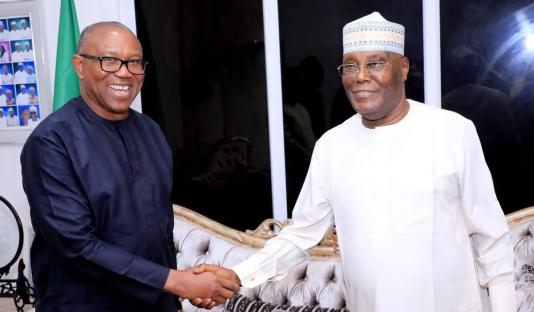 2027: Peter, Atiku can’t work together, coalition dead on arrival – Wike’s aide