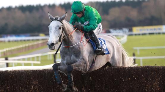 What grey horses are running in the Grand National 2025 and when was the last time a grey horse won?
