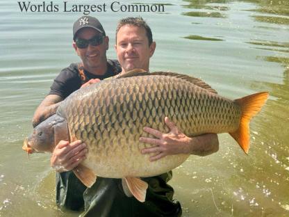 Two anglers holding a large carp, the world's largest common carp.