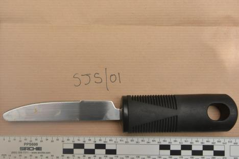 Butter knife that led cops to pepper-spray and Taser tragic amputee, 92, as he sat in wheelchair is pictured
