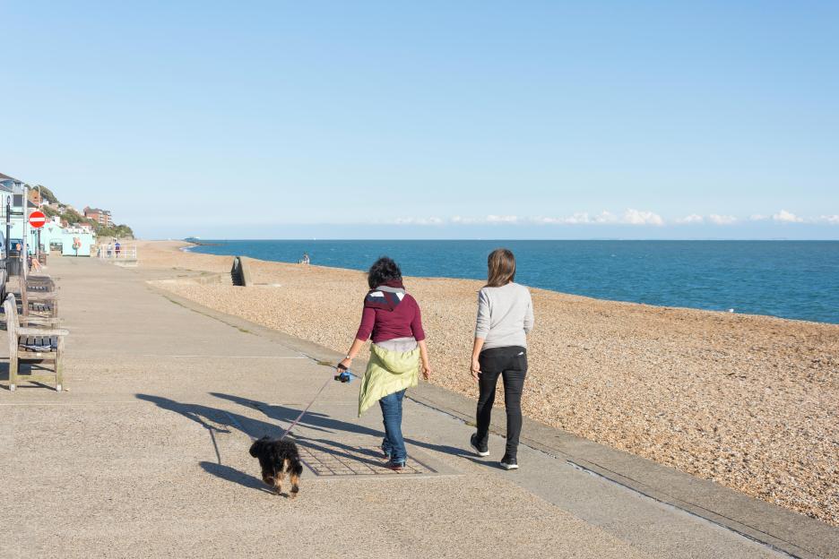 Two women walking a dog along a beach promenade.