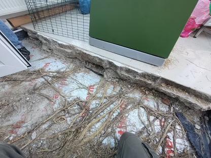 Bamboo roots growing under a conservatory floor, causing damage.