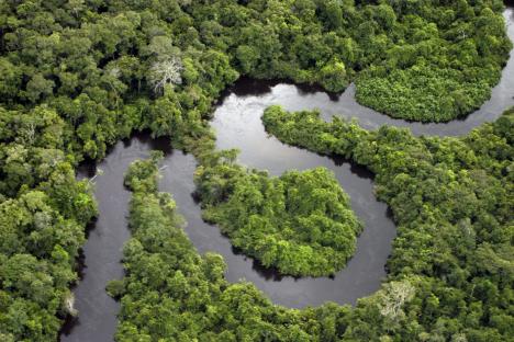 Aerial view of the Teles Pires River winding through the Amazon rainforest.