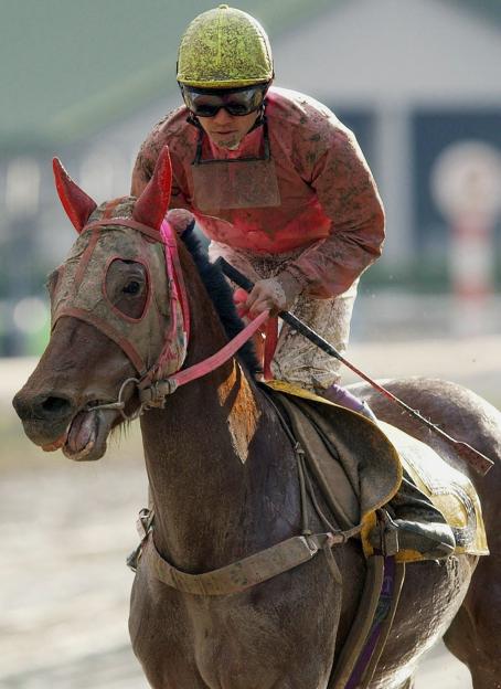 Legendary racehorse dubbed ‘shining star of losers’ who never won in 113 races dies surrounded by loved ones aged 29