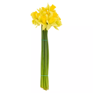 Bunch of daffodils for £1.00.