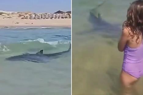 Dad ‘wanted to swim with sharks’ before being mauled on Israeli beach where ‘tourists PLAY with beasts & tug their fins’