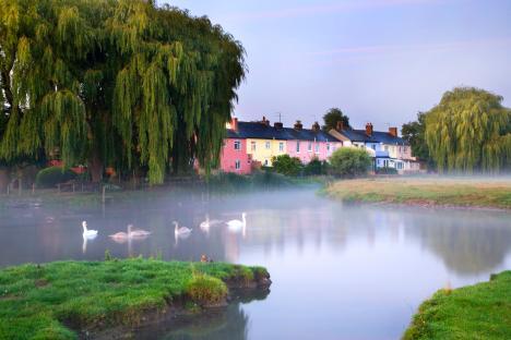 Swans on a misty river near colorful houses.