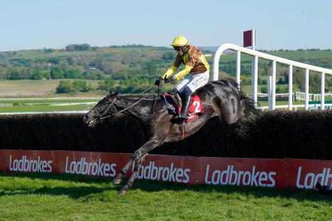Willie Mullins hails ‘horse of a lifetime’ Galopin Des Champs after Punchestown Gold Cup romp