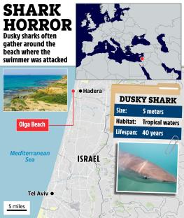 Illustration of map showing location of shark attack at Olga Beach, Israel, with information about dusky sharks.