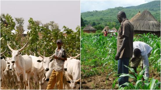 Suspected herders kill eight farmers near Taraba–Benue border