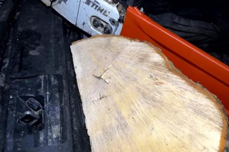 Massive wedge of Sycamore Gap tree ‘kept as trophy by 2 pals who chopped it down with chainsaw in dead of night’
