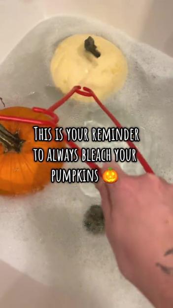 Two pumpkins in a bathtub filled with soapy water with text overlay "THIS IS YOUR REMINDER TO ALWAYS BLEACH YOUR PUMPKINS"