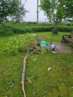 Broken tree branch and debris on a village green.