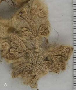 Fragment of embroidered textile.